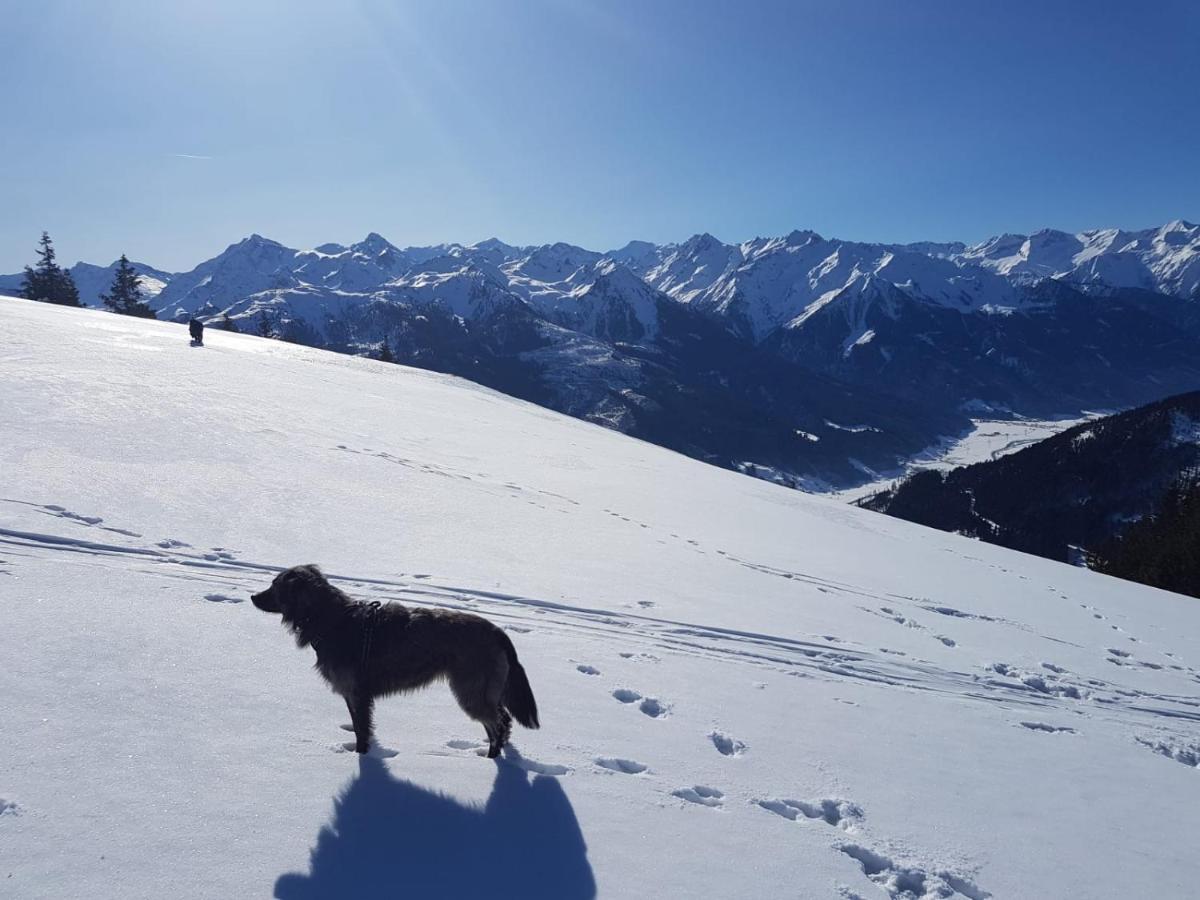 Cordial Sport Hotel Going Going am Wilden Kaiser Eksteriør bilde